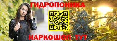 молекула духа Берёзовский