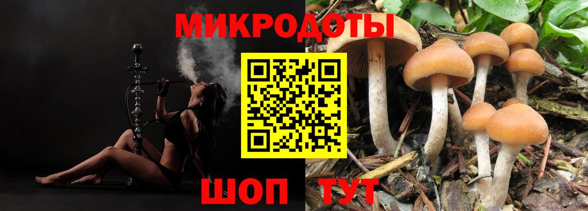 Псилоцибиновые грибы мухоморы  Вход с VPN  Заволжье 